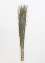 Preserved Green Dune Grass Bundle, 36"
