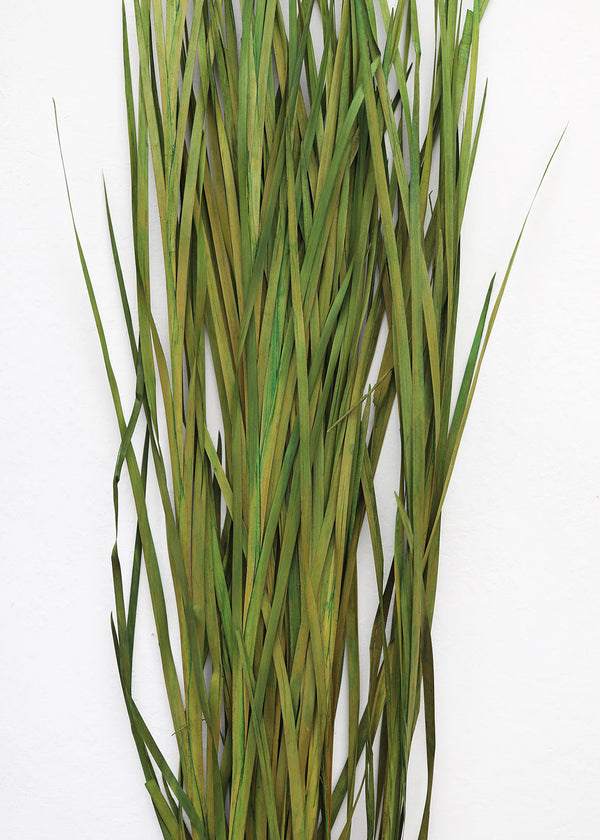 Tall Preserved Wild Grass in Green, 45-55"