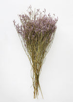 Natural Dried German Statice Flowers, 18-24"