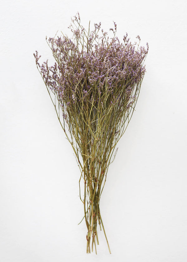 Natural Dried German Statice Flowers, 18-24"