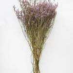 Natural Dried German Statice Flowers, 18-24"