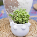 Mini Bumpy Pot