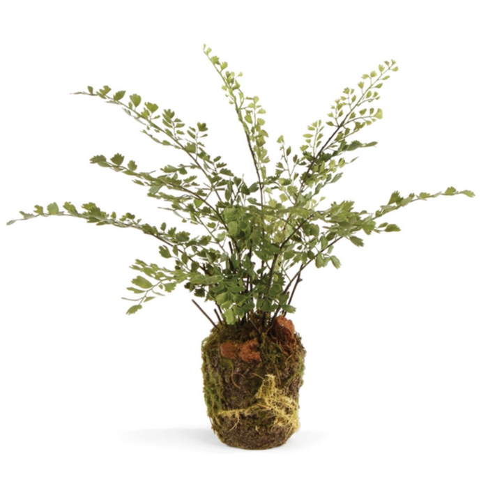 Maiden Hair Drop-in 13"