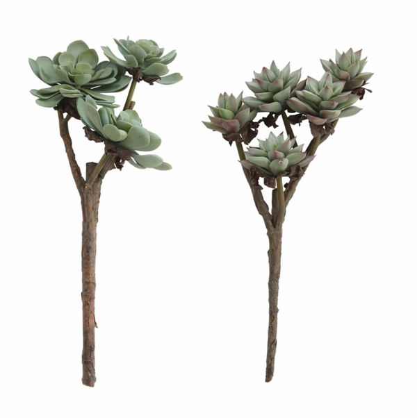 Faux Succulent Branch, 2 Styles
