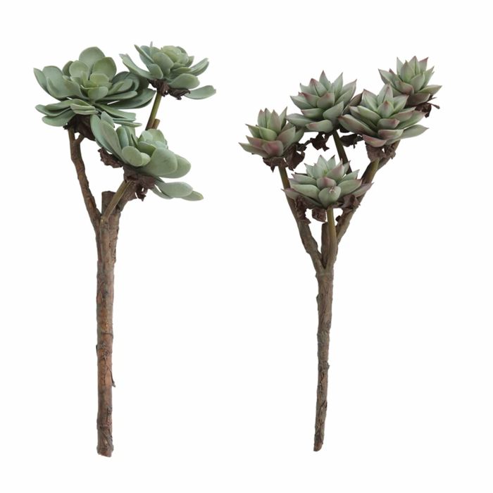 Faux Succulent Branch, 2 Styles