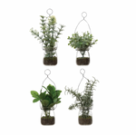 Faux Greenery Ornament in Glass Jar, 4 Styles