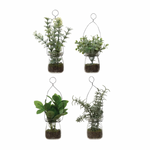 Faux Greenery Ornament in Glass Jar, 4 Styles