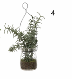 Faux Greenery Ornament in Glass Jar, 4 Styles