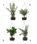 Faux Greenery Ornament in Glass Jar, 4 Styles