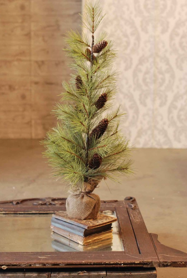 Longleaf Pine Tree with Burlap, 30"
