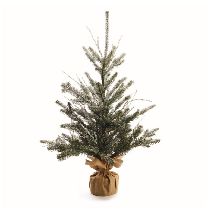 Iced Pine and Twig Tree