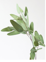 Faux Real Touch Eucalyptus Branch, 31"