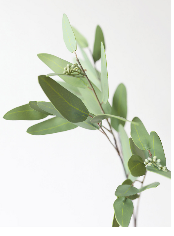 Faux Real Touch Eucalyptus Branch, 31"
