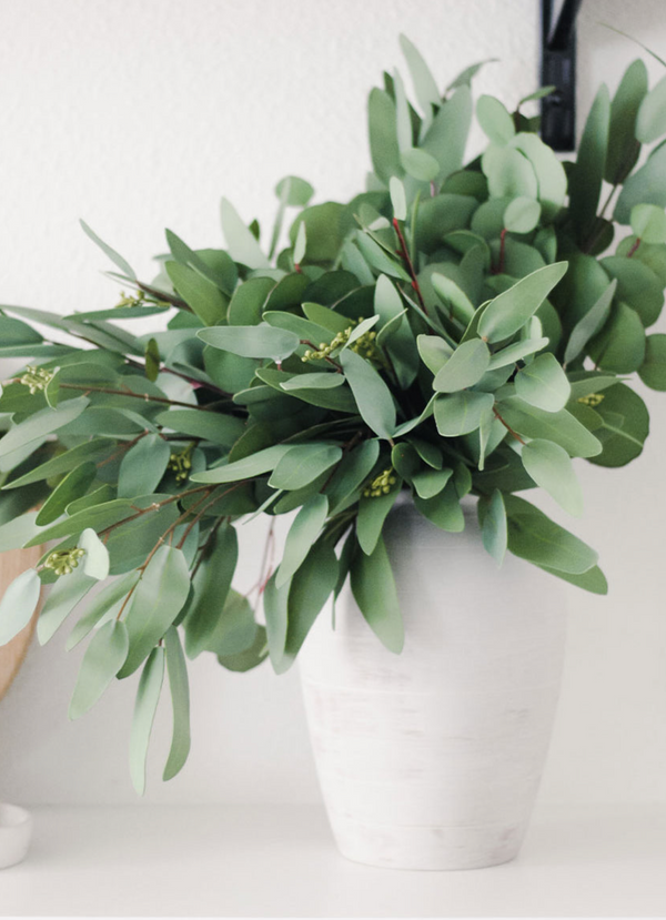 Faux Real Touch Eucalyptus Branch, 31"