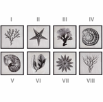 Sea Living Framed Prints - 8 Styles, 12" x 12"