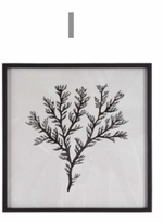 Sea Living Framed Prints - 8 Styles, 12" x 12"