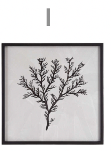 Sea Living Framed Prints - 8 Styles, 12" x 12"