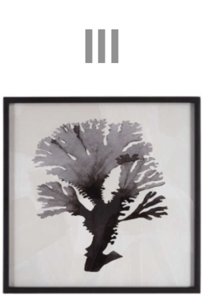 Sea Living Framed Prints - 8 Styles, 12" x 12"