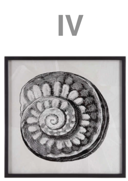 Sea Living Framed Prints - 8 Styles, 12" x 12"