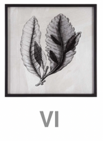 Sea Living Framed Prints - 8 Styles, 12" x 12"