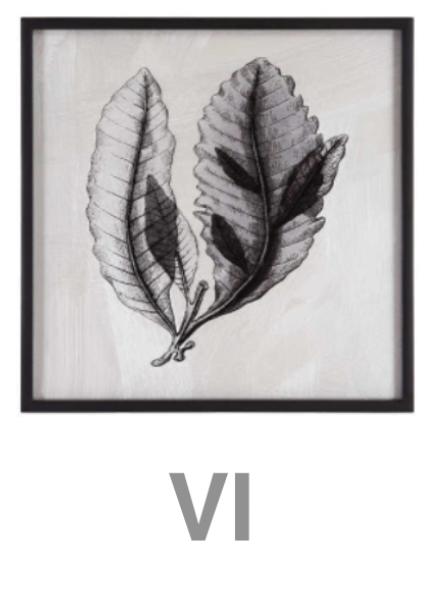 Sea Living Framed Prints - 8 Styles, 12" x 12"