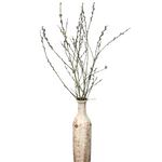 WAREHOUSE Preserved Pussy Willow, 2 sizes