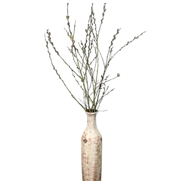 WAREHOUSE Preserved Pussy Willow, 2 sizes