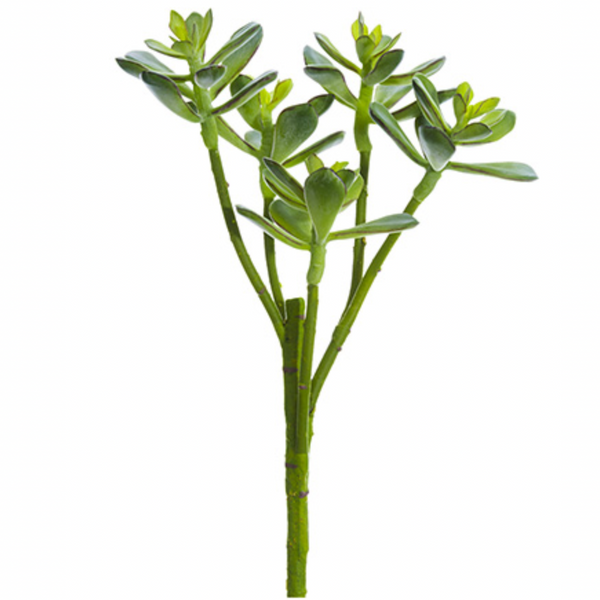 Jade Spray, Green - 16"