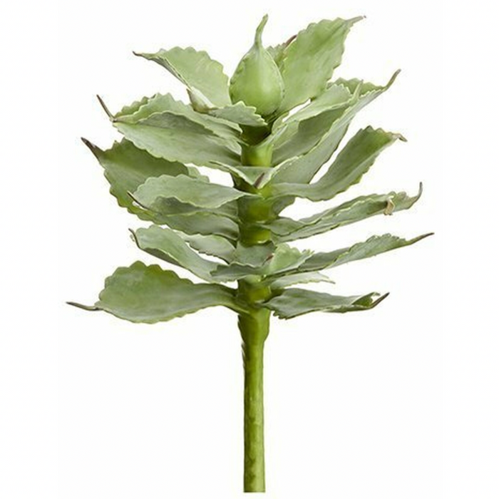 Agave Pick, Green / Gray - 9.5"
