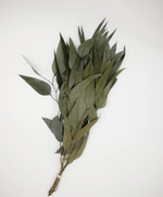 Preserved Flower Willow Eucalyptus - Powder Green, 18"