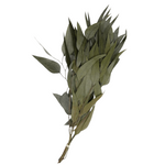 Preserved Flower Willow Eucalyptus - Powder Green, 18"