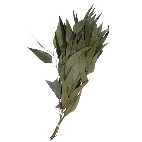 Preserved Flower Willow Eucalyptus - Powder Green, 18"
