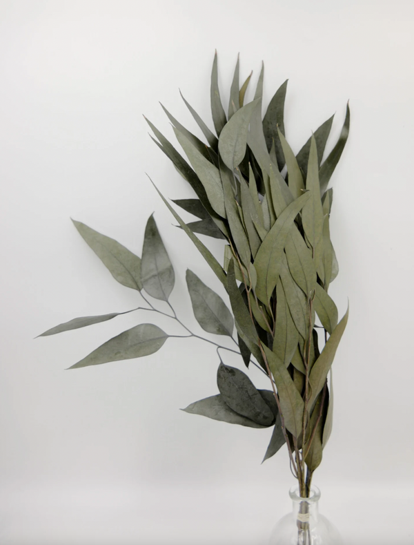 Preserved Flower Willow Eucalyptus - Powder Green, 18"