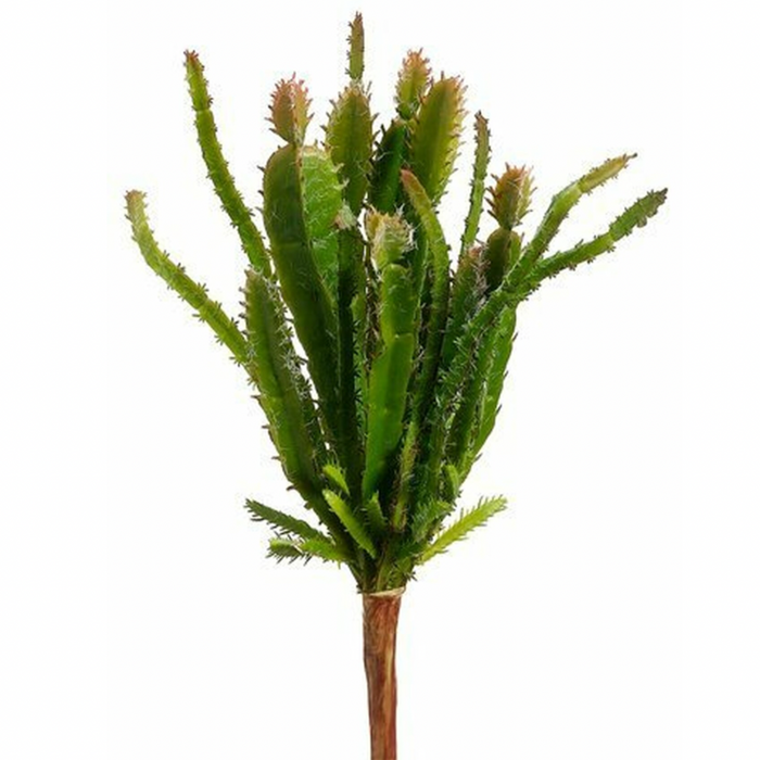 Cactus Pick, Green / Burgundy - 8.5"