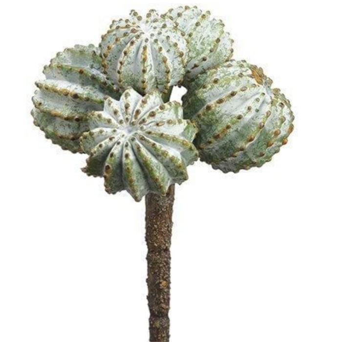 Barrel Cactus Pick, Green / Gray, 6"
