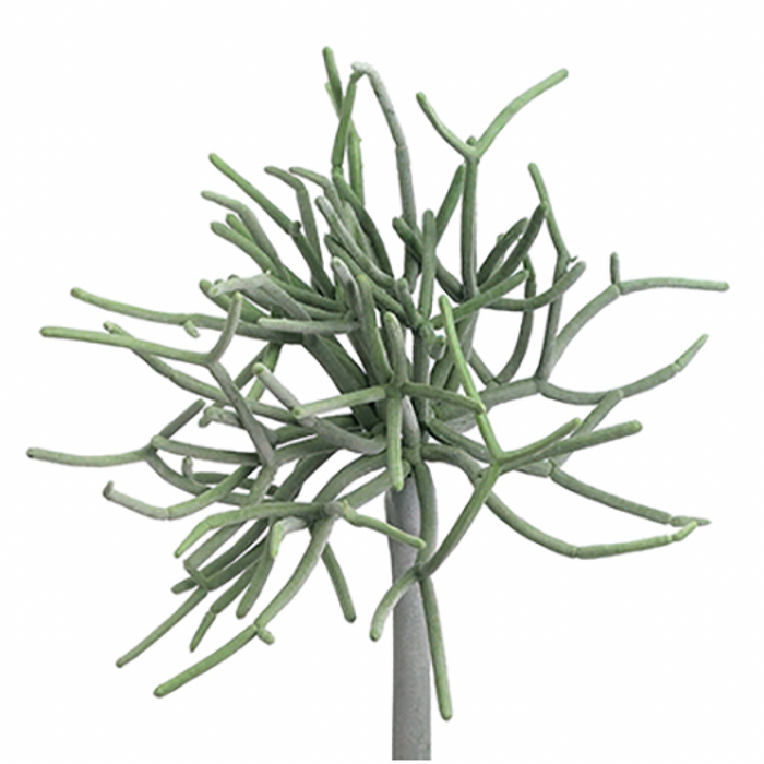Pencil Cactus Pick, Green / Gray - 8"