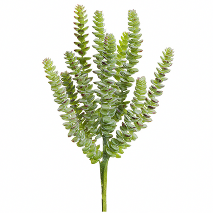 Donkey Tail Pick, Green / Gray -13"