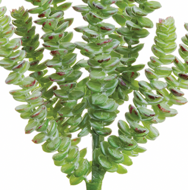 Donkey Tail Pick, Green / Gray -13"