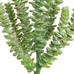 Donkey Tail Pick, Green / Gray -13"