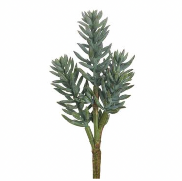 Senecio Spray, Frosted Green - 16"