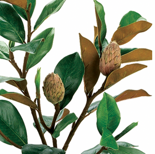 Magnolia Bud Spray x5, Green - 37"