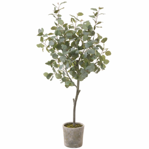 Eucalyptus Tree in Mgo Pot, Green - 60"