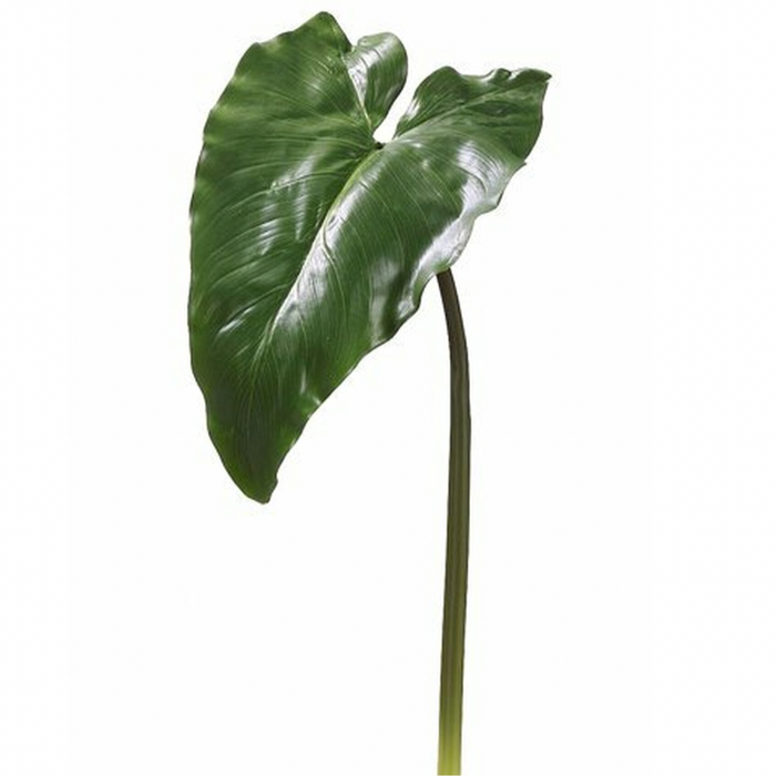 Calla Lily Leaf Spray, Green - 34"