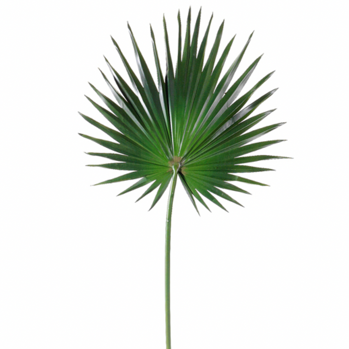 Fan Palm Spray, Green - 30"