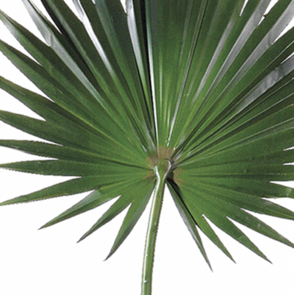 Fan Palm Spray, Green - 30"