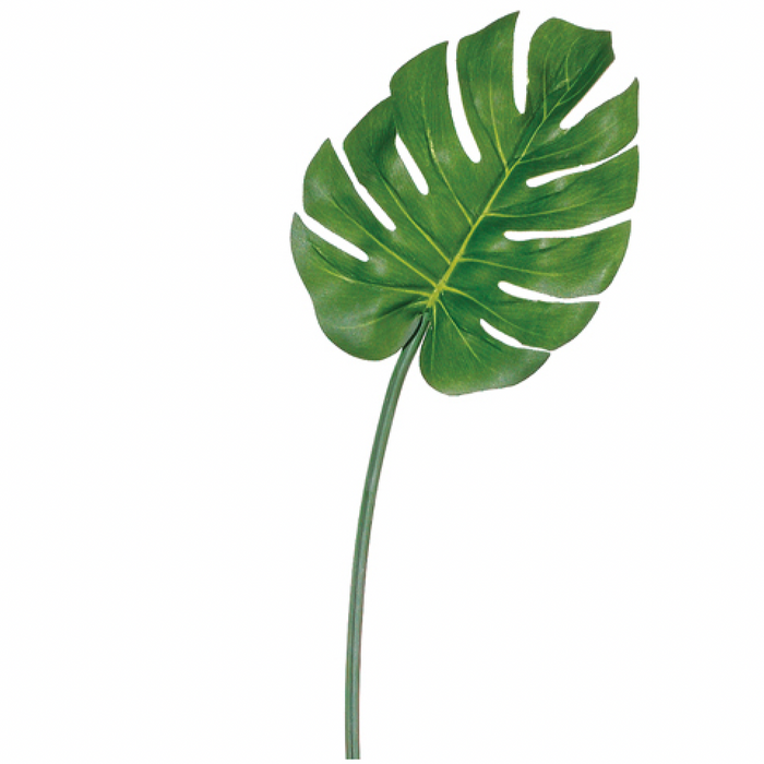 Medium Split Philodendron Leaf Spray, Green - 30"