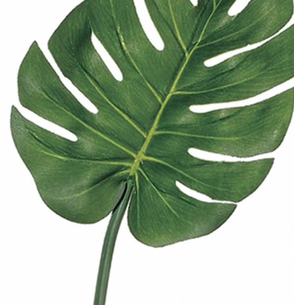 Medium Split Philodendron Leaf Spray, Green - 30"