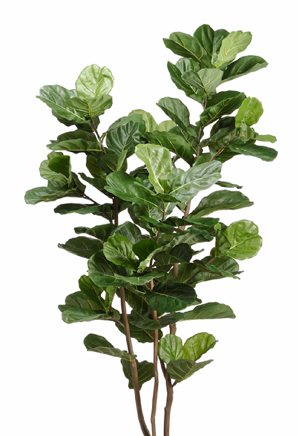 Fiddle Leaf Tree in Plastic Pot, Green - 90.5"