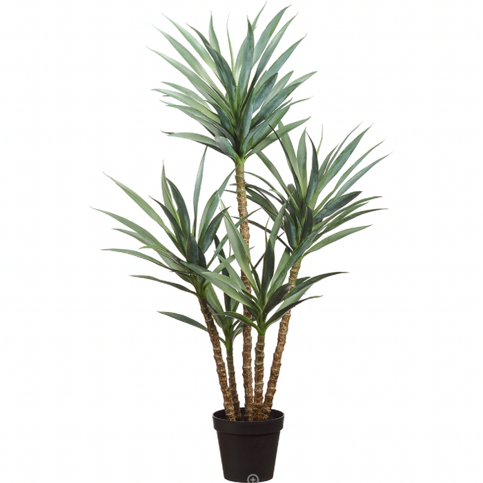 Yucca Plant in Plastic Pot, Green - 60"