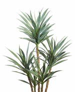 Yucca Plant in Plastic Pot, Green - 60"